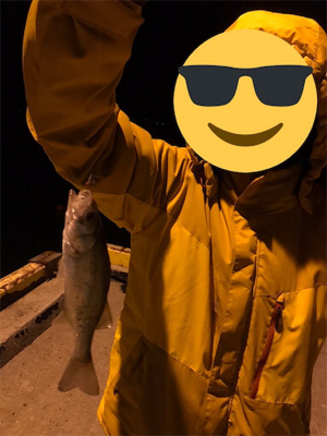 生口島ウキ釣り