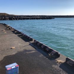 太刀魚、カマス