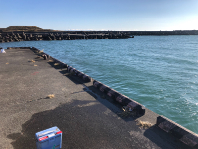 太刀魚、カマス