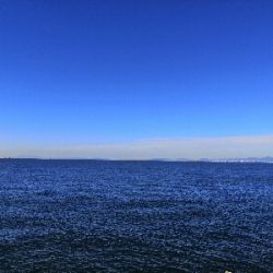 潮が動かず苦戦