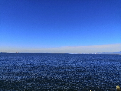 潮が動かず苦戦