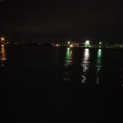 マイポイントでアジング。