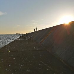 ショアジギング