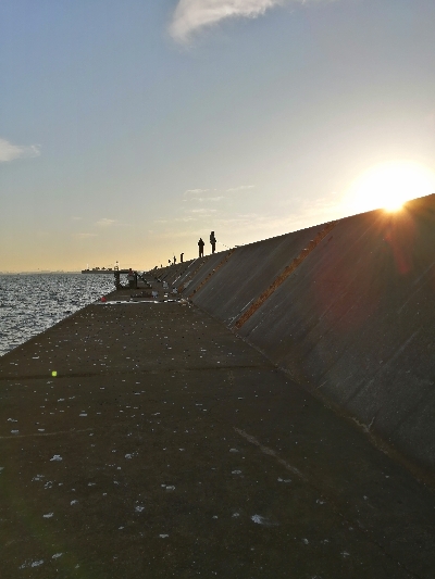 ショアジギング