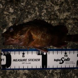 活性が低い時は・・・