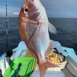 久しぶりの日本海へアマダイ狙い