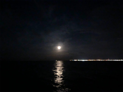 ひとりアジング