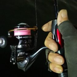 アジング練習  225  鱗付け作戦 Revo ALX THETA 1000S