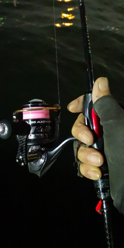 アジング練習  225  鱗付け作戦 Revo ALX THETA 1000S