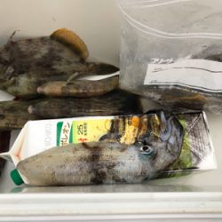 イカハゲの呼吸