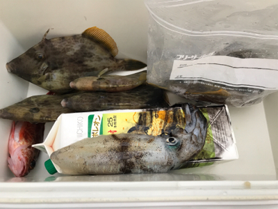 イカハゲの呼吸