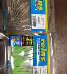 アジングナイト(向かい風)