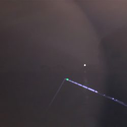 アオリイカ胴長29センチ