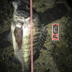 ランカーを求めて