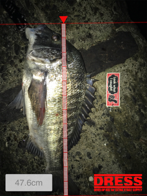 ランカーを求めて