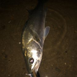 頭からがっぽり