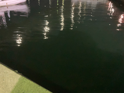 リールオーバーホール後のアジ・サバ