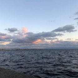 ファイト一発！