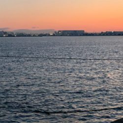 ブルーキング　最終日！