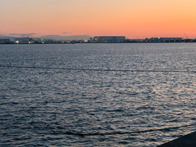 ブルーキング　最終日！