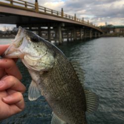 瀬田川ランガン