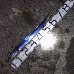 11/22釣果尺アジ小アジめちゃくちゃ釣れました!