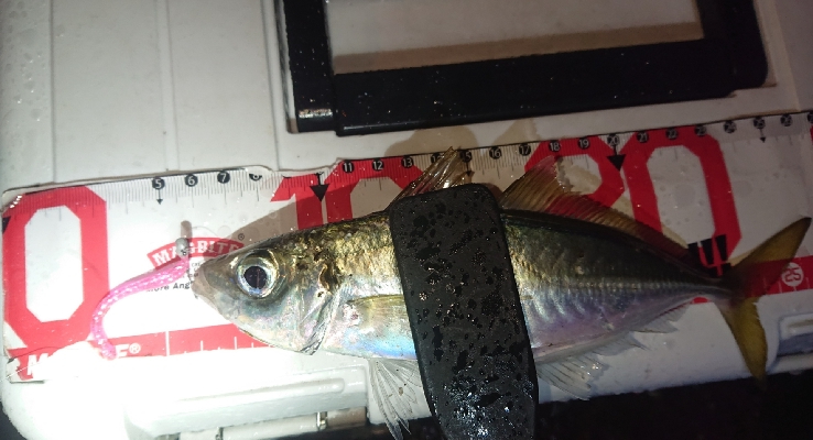 寒くなって厳しくなった