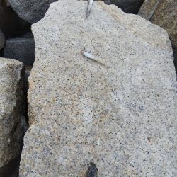 室津のキス釣り