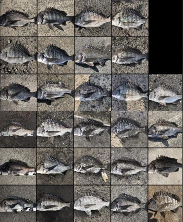 イチノ兄弟、釣果！