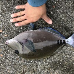 久々のフカセ釣り〜