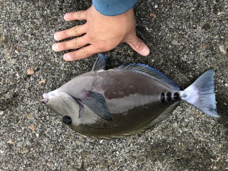 久々のフカセ釣り〜