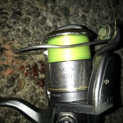 神戸F4太刀魚＆メジロ