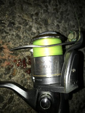 神戸F4太刀魚＆メジロ