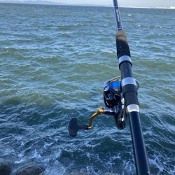 ショアジギデビュー