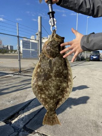 飲ませ青物のはずが