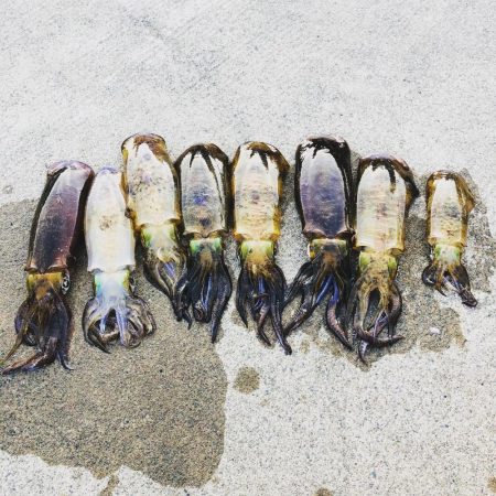 15打数8安打！！