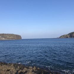 加賀港（桂島）での釣行