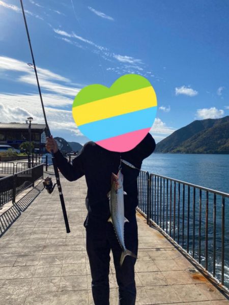 親海公園サゴシ