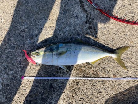 大阪湾いい感じ!