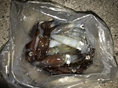 ライトエギング