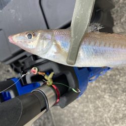 デイライトゲーム