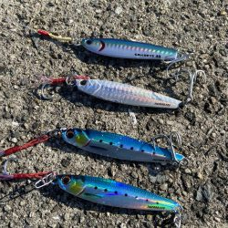 今は泳がせのが熱いんかな