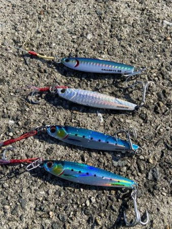 今は泳がせのが熱いんかな