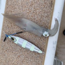 丹後沖ジギング