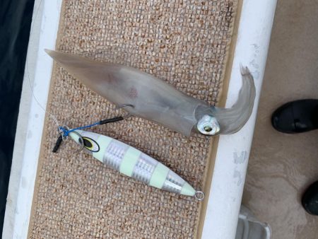 丹後沖ジギング