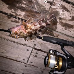 ライトゲーム！フォールで連発！