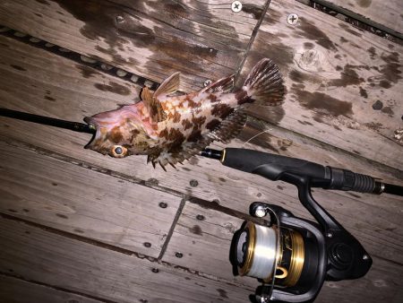 ライトゲーム！フォールで連発！