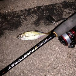 ライトゲーム！！