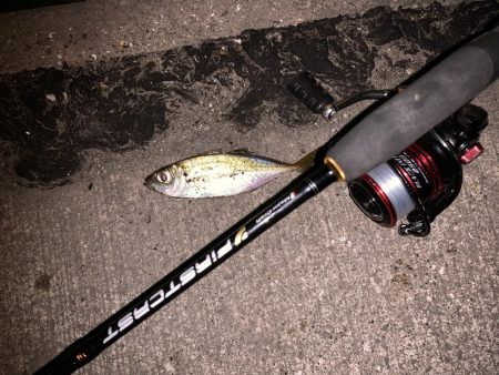 ライトゲーム！！