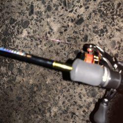 アジングで良型の…